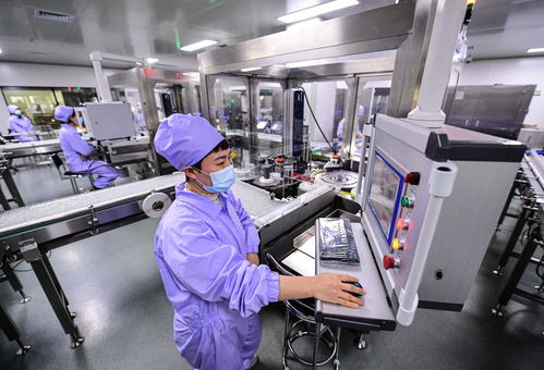 奮進(jìn)新征程 建功新時(shí)代 偉大變革丨遼沈“智”變 軟件服務(wù)的創(chuàng)新引擎驅(qū)動(dòng)區(qū)域經(jīng)濟(jì)新跨越